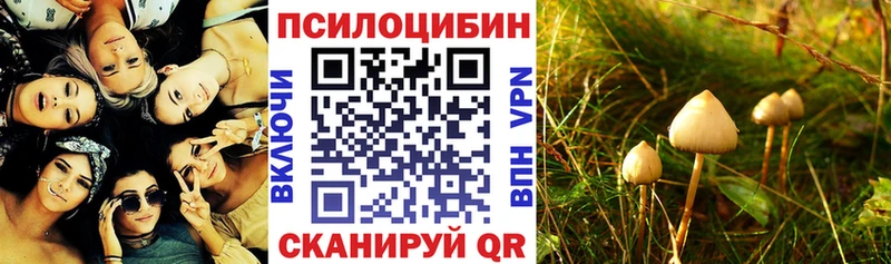 Псилоцибиновые грибы мухоморы  Нальчик 